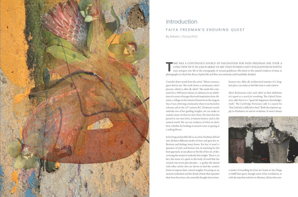 The 1st page of Bob's essay in the catalog